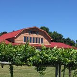 North Carolina Grape Stomp @ Gregory Vineyards | Angier | North Carolina | United States